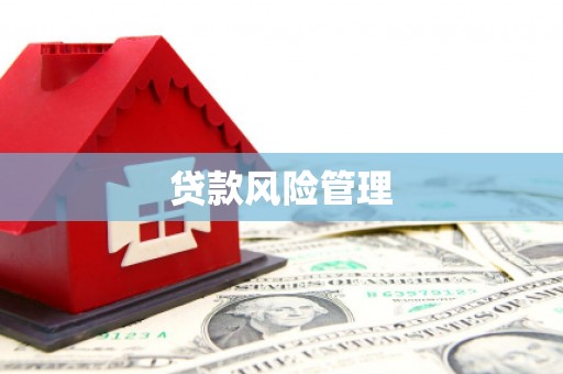 沙湾贷款风险管理