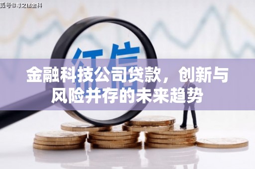 沙湾金融科技公司贷款，创新与风险并存的未来趋势