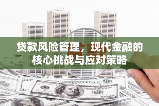 沙湾贷款风险管理，现代金融的核心挑战与应对策略