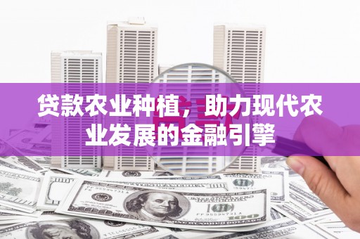 沙湾贷款农业种植，助力现代农业发展的金融引擎