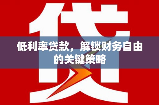 沙湾低利率贷款，解锁财务自由的关键策略