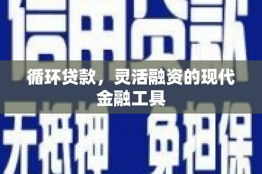沙湾循环贷款，灵活融资的现代金融工具
