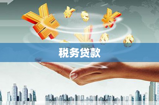 沙湾税务贷款