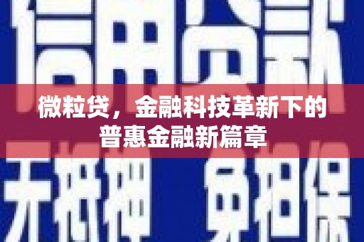 沙湾微粒贷，金融科技革新下的普惠金融新篇章