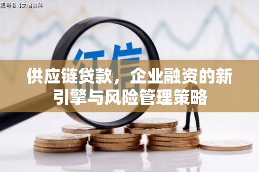 沙湾供应链贷款，企业融资的新引擎与风险管理策略