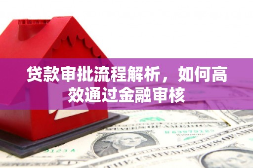 沙湾贷款审批流程解析，如何高效通过金融审核