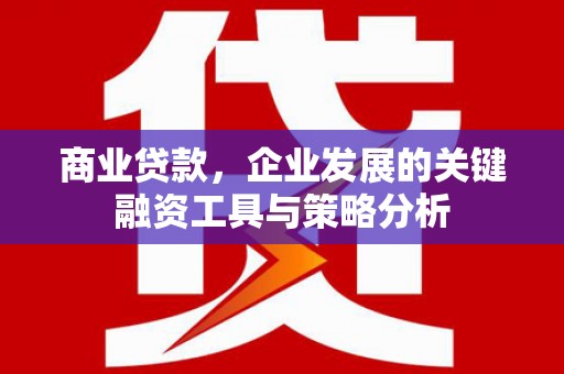 沙湾商业贷款，企业发展的关键融资工具与策略分析