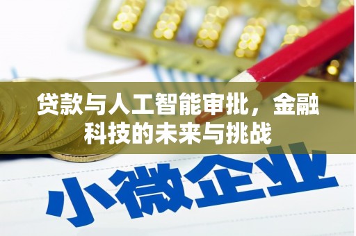 沙湾贷款与人工智能审批，金融科技的未来与挑战