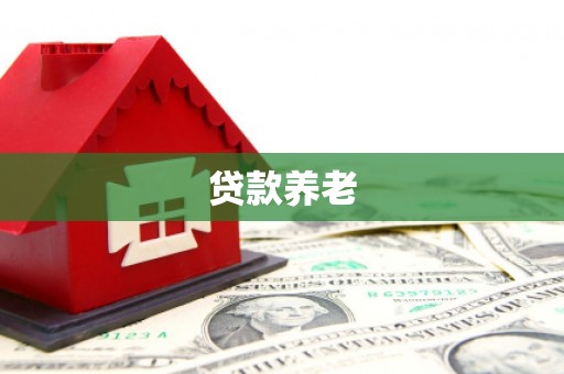沙湾贷款养老