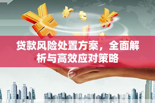 沙湾贷款风险处置方案，全面解析与高效应对策略