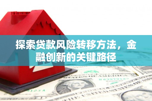 沙湾探索贷款风险转移方法，金融创新的关键路径