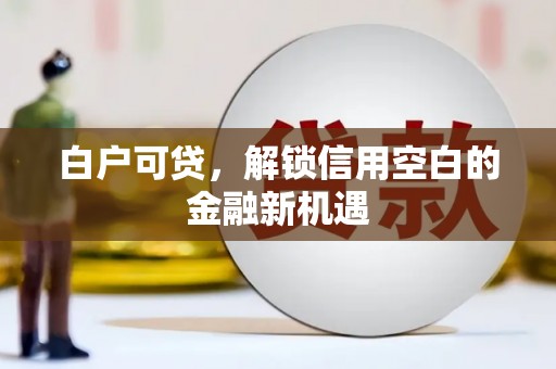 沙湾白户可贷，解锁信用空白的金融新机遇