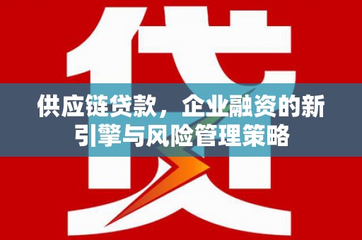 沙湾供应链贷款，企业融资的新引擎与风险管理策略