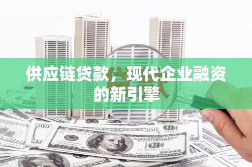 沙湾供应链贷款，现代企业融资的新引擎