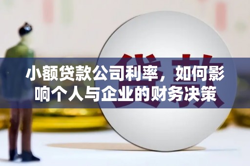 沙湾小额贷款公司利率，如何影响个人与企业的财务决策