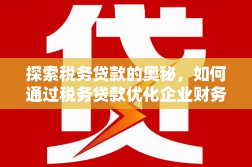 沙湾探索税务贷款的奥秘，如何通过税务贷款优化企业财务
