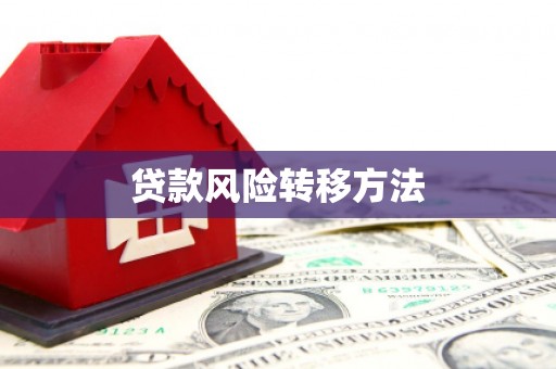 沙湾贷款风险转移方法