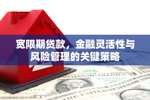 沙湾宽限期贷款，金融灵活性与风险管理的关键策略