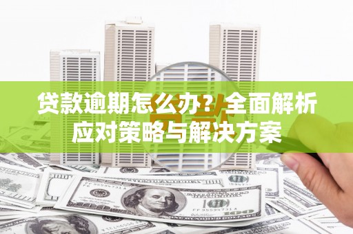 沙湾贷款逾期怎么办？全面解析应对策略与解决方案