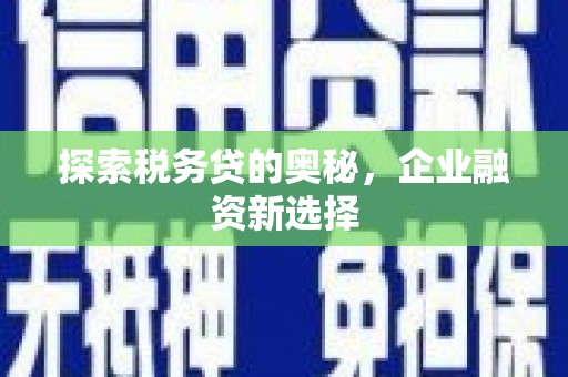 沙湾探索税务贷的奥秘，企业融资新选择