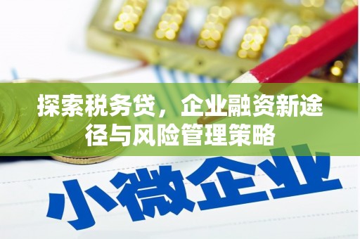 沙湾探索税务贷，企业融资新途径与风险管理策略