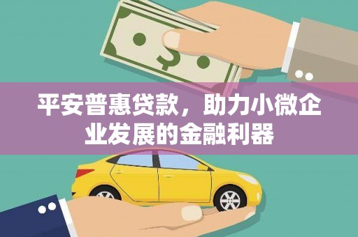 沙湾平安普惠贷款，助力小微企业发展的金融利器