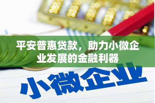 沙湾平安普惠贷款，助力小微企业发展的金融利器