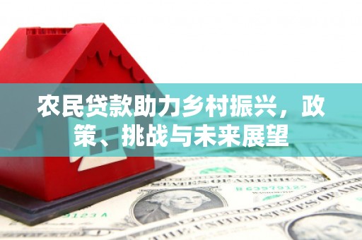 沙湾农民贷款助力乡村振兴，政策、挑战与未来展望
