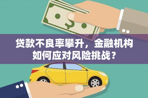 沙湾贷款不良率攀升，金融机构如何应对风险挑战？