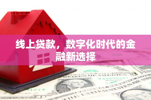 沙湾线上贷款，数字化时代的金融新选择