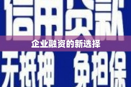 沙湾企业融资的新选择
