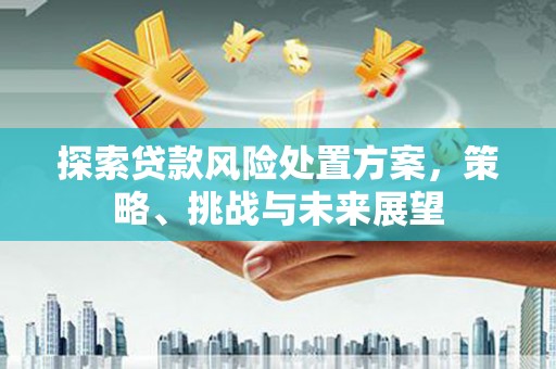 沙湾探索贷款风险处置方案，策略、挑战与未来展望