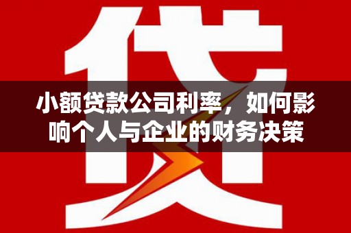 沙湾小额贷款公司利率，如何影响个人与企业的财务决策