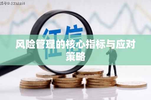 沙湾风险管理的核心指标与应对策略