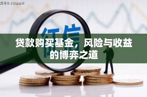 沙湾贷款购买基金，风险与收益的博弈之道
