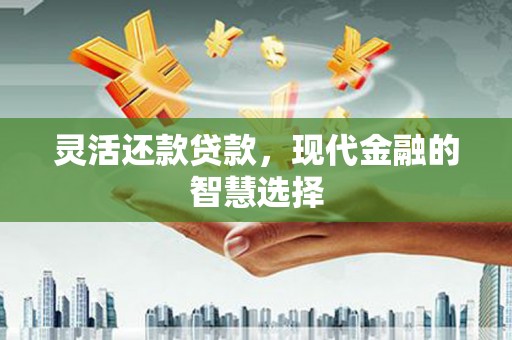 沙湾灵活还款贷款，现代金融的智慧选择