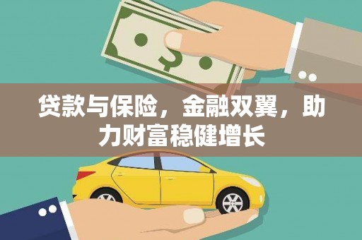 沙湾贷款与保险，金融双翼，助力财富稳健增长