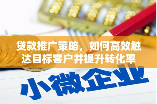 沙湾贷款推广策略，如何高效触达目标客户并提升转化率