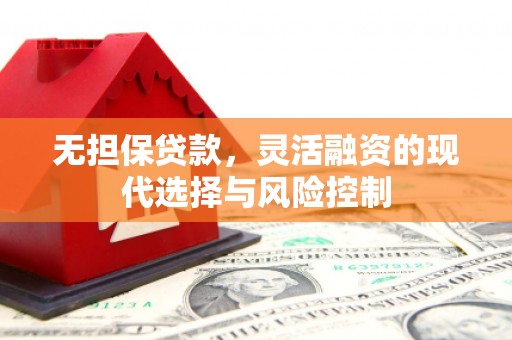 沙湾无担保贷款，灵活融资的现代选择与风险控制