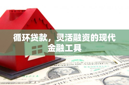 沙湾循环贷款，灵活融资的现代金融工具