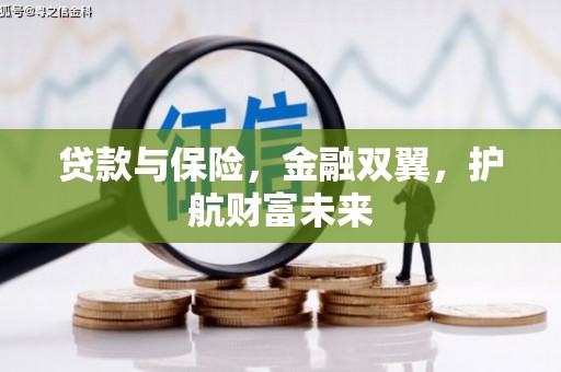 沙湾贷款与保险，金融双翼，护航财富未来