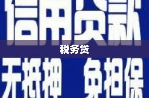 沙湾税务贷