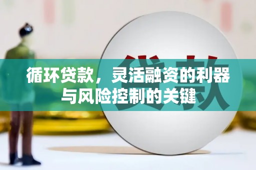 沙湾循环贷款，灵活融资的利器与风险控制的关键
