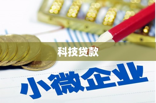 沙湾科技贷款