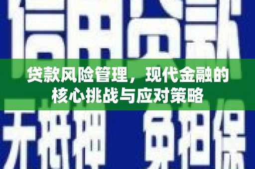 沙湾贷款风险管理，现代金融的核心挑战与应对策略