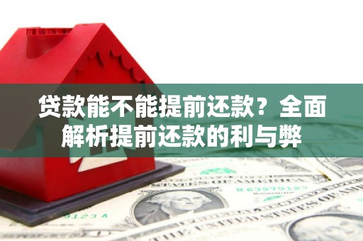 沙湾贷款能不能提前还款？全面解析提前还款的利与弊