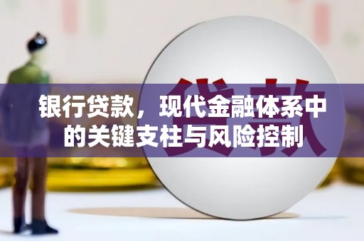 沙湾银行贷款，现代金融体系中的关键支柱与风险控制