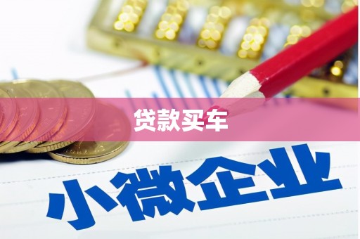 沙湾贷款买车