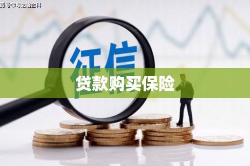 沙湾贷款购买保险