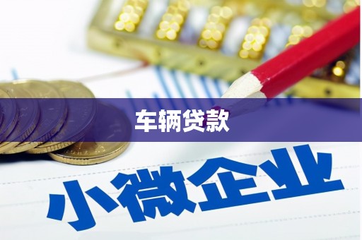 沙湾车辆贷款